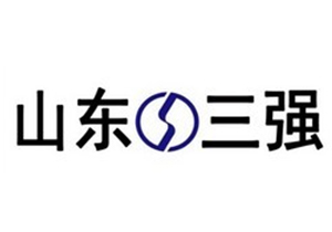 山东三强建设咨询有限公司